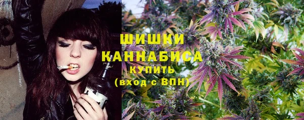 шишки Алексин