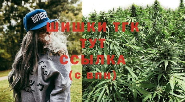 винт Алзамай