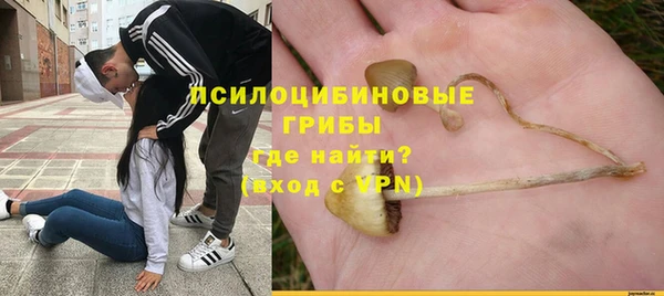 каннабис Алексеевка