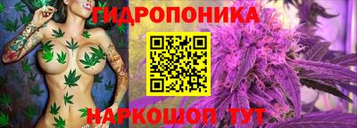гидра Балаково