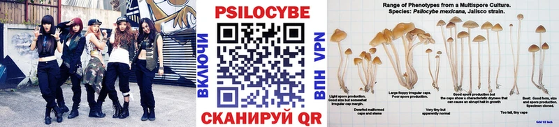 Псилоцибиновые грибы MAGIC MUSHROOMS  Березники 