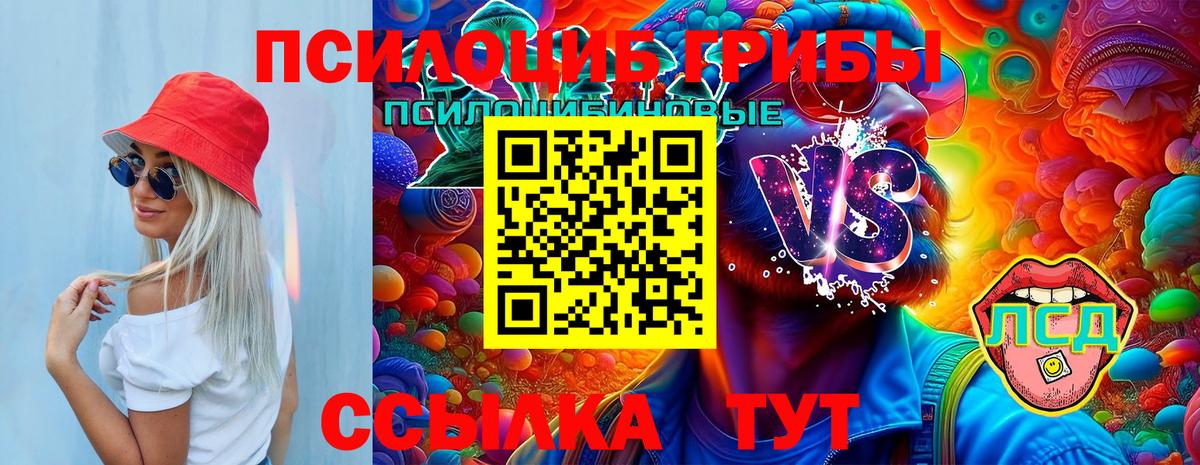 Псилоцибиновые грибы мицелий Березники